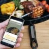 Outdoorchef Gourmet Check Dual BT Bluetooth Grillthermometer -GrillProfi Werkstatt outdoorchef gourmet check dual bt 18 212 59 01